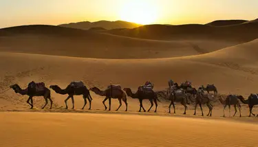 Kameelhaar, voor dekbedden