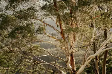 Tencel vier seizoenen