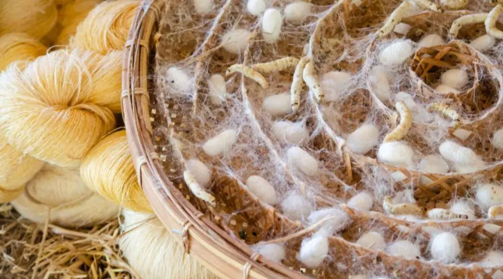 Zijden voor dekbedden