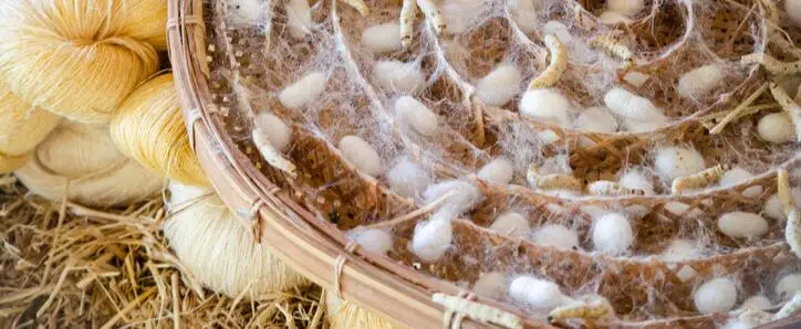 Dekbed grondstof zijde