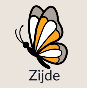 Dekbed vulling zijde