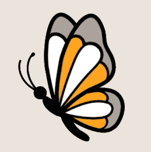 Dekbed vulling zijde